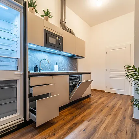 Design Luzanky Apartment