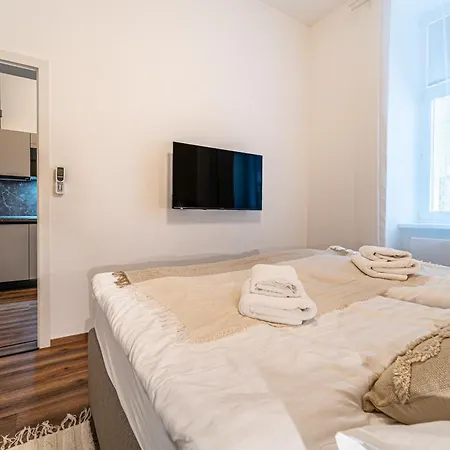 Apartment Design Luzanky