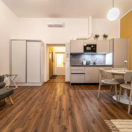 Apartment Design Luzanky
