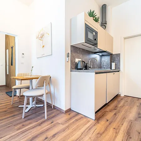 Design Luzanky Apartment Brno