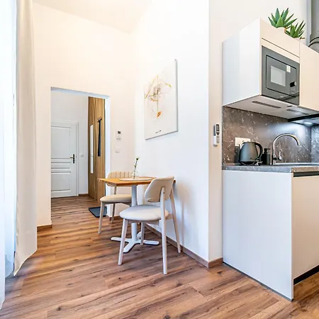 Apartment Design Luzanky *