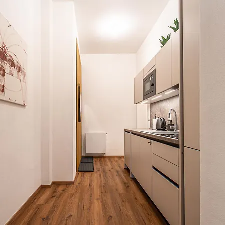 Apartment Design Luzanky