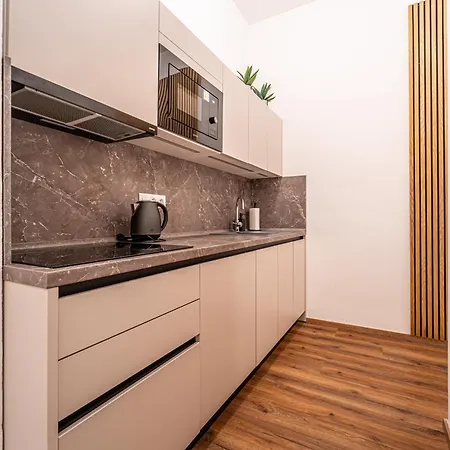 Apartment Design Luzanky